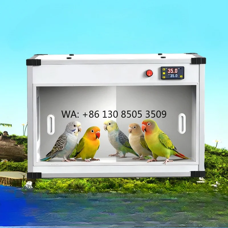 

Parrot Incubator Warm Brood Insulation Lightweight Rectangle Shape Pet Baby Bird Chick 0 Days Xuanfeng Peony for Raising Chicks