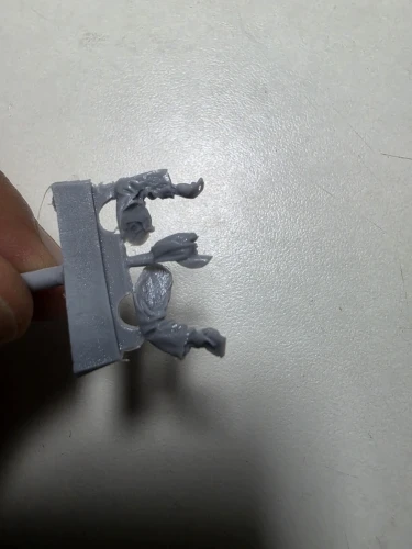 Buyer photo of this resin kit