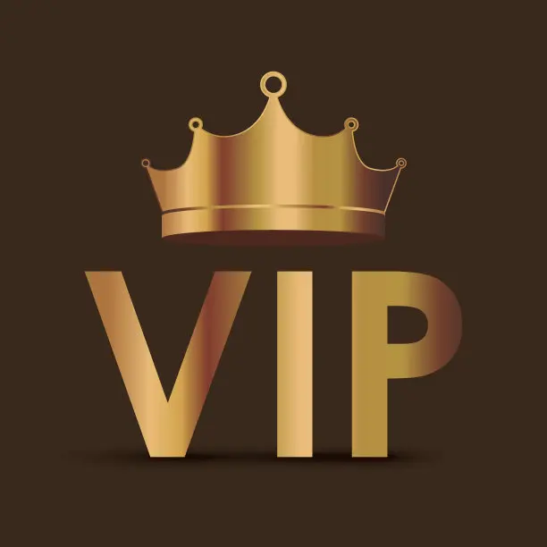 

VIP customer payment link