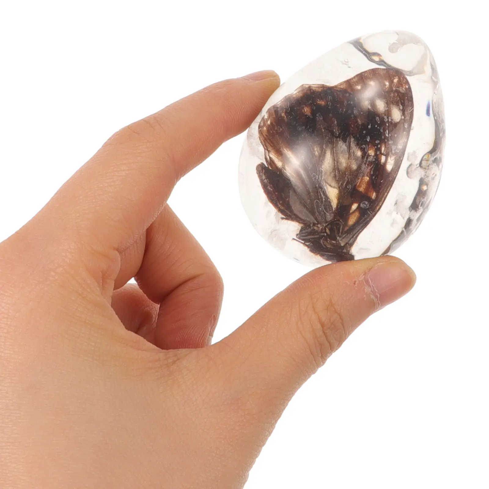 

3pcs Insect Amber Specimen Pendant Resin Pre-Drilled Decor For Diy Jewelry Craft Insect Lover Gift Educational Teaching Tool