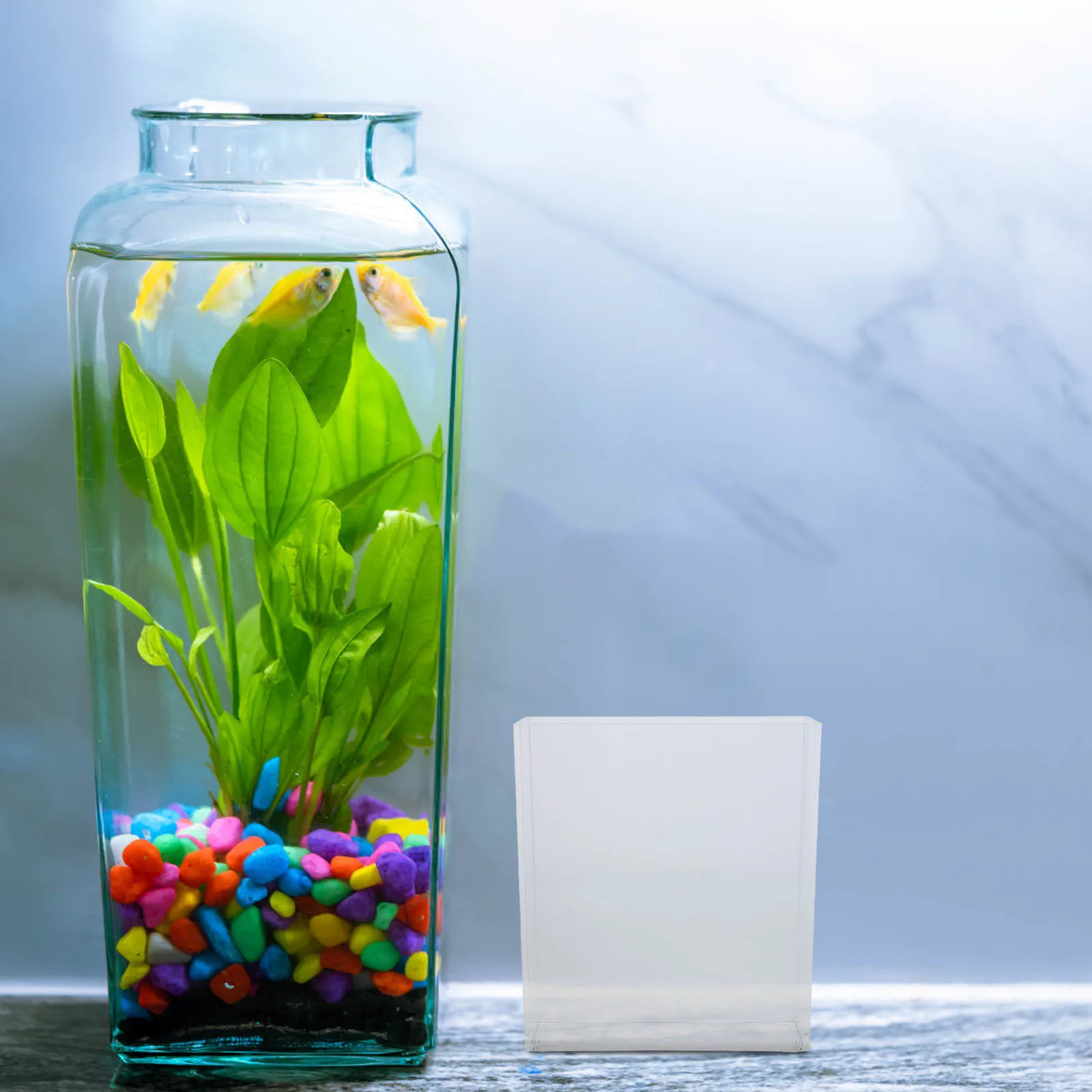 

Portable Transparent Observation Box Compact Lightweight For Shrimp Breeding Desktop Aquarium Betta Tank Fish Hatching Box Small