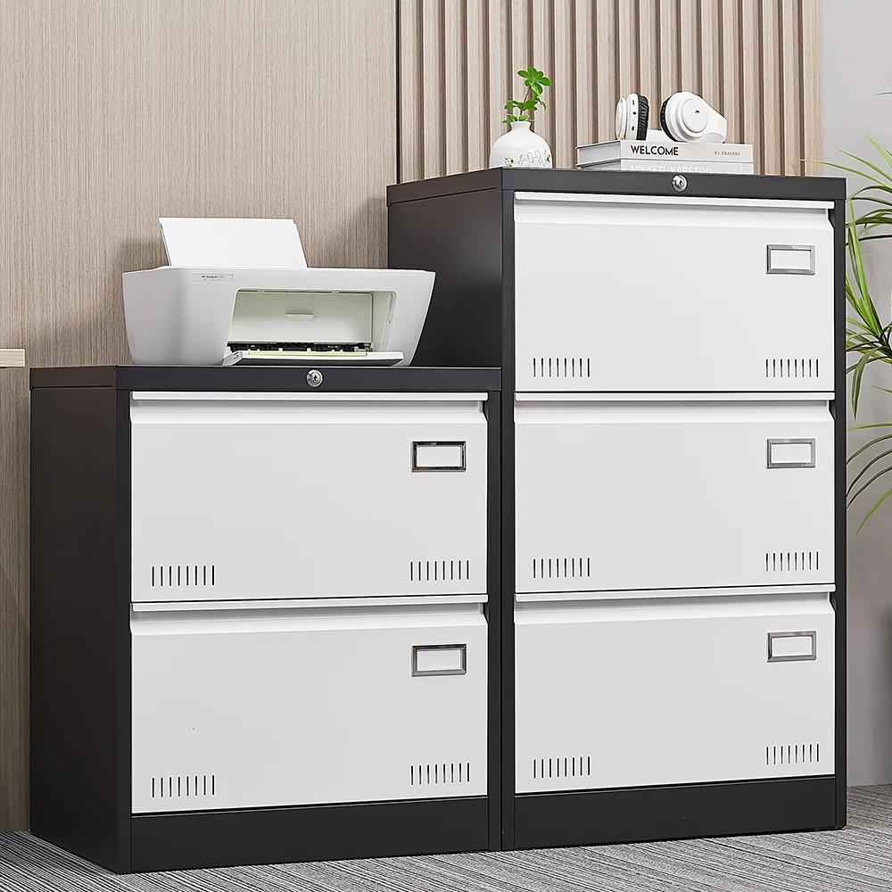 2 Drawer Metal Lateral File Cabinet with Lock Office Vertical Files Cabinet Locking Metal File Cabinet Assembly Required