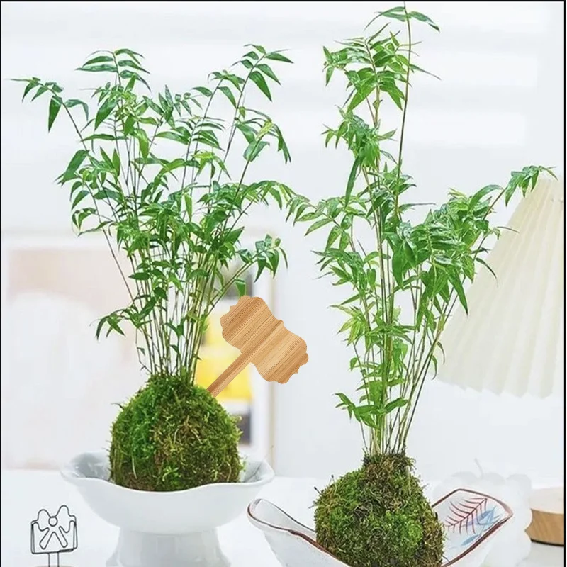 

10Pcs Wooden Plant Labels Rustic Garden Markers for Vegetable Flower Herb Seedling Identification Home and Commercial Use