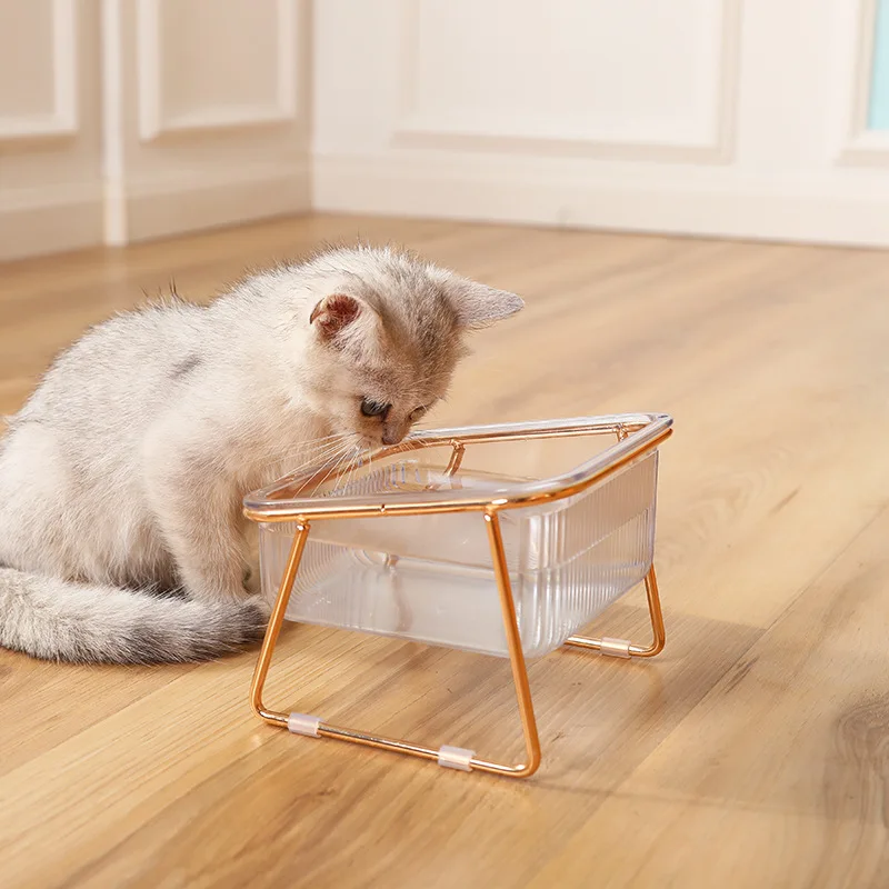 Transparent Cat Bowl with Raised Stand - Slanted Neck Protection for Drinking and Feeding - Easy to Clean Dual Iron Bowls