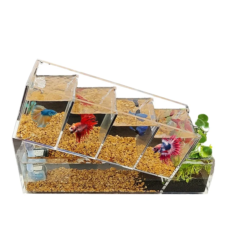 

sttl Acrylic Self-Circulating Filtration Fish Tank Multi-Grid Ultra Silent 5L Rectangle Box Indoor/Outdoor No Water Change Ecolo