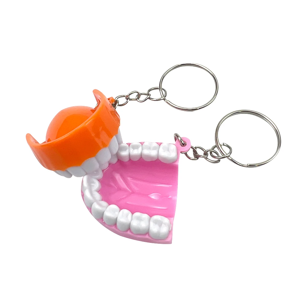 10 قطعة/الوحدة الأسنان على شكل المفاتيح المحمولة نموذج الأسنان العلوي الفك قلادة Maxillary مفتاح سلسلة طب الأسنان اكسسوارات طبيب الأسنان هدية #3