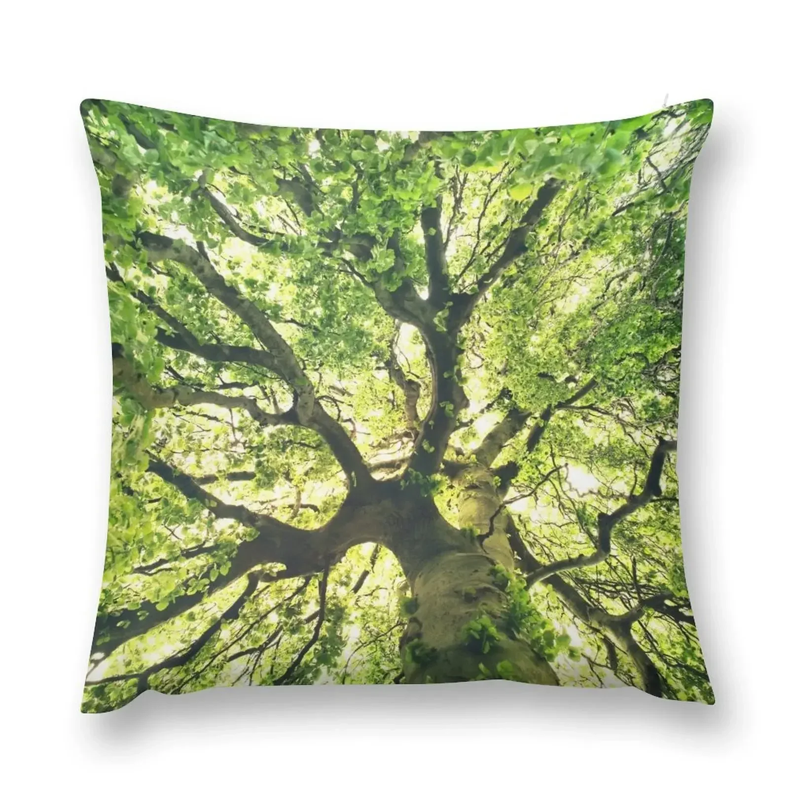 

Under Your Skin // Summer In A Wilderness Fairytale Forest With A Tree Covered In Magic Sunlight Series Throw Pillow