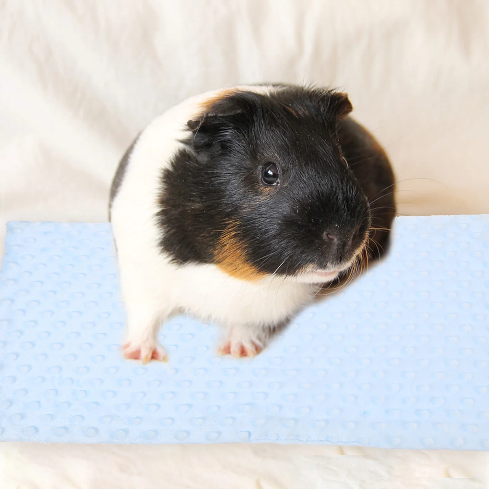 

Guinea Pig Blanket Durable Soft Warm Bedding Small Pet Cage Liner Hamster Mat Fleece Bedding Supplies Guinea Pig Blanket