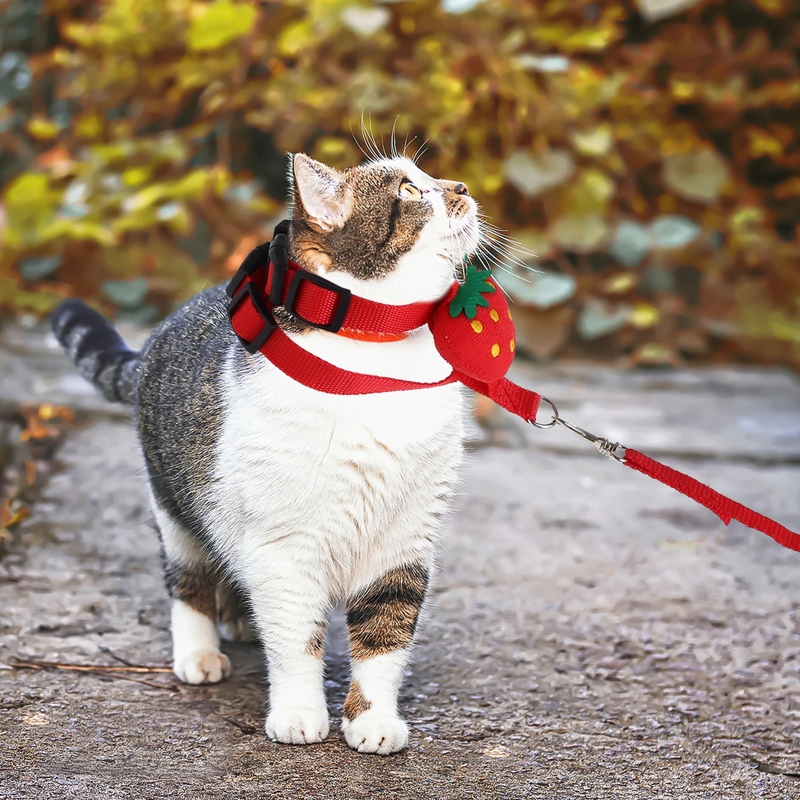 

Pet Harness Leash Set Adjustable Small Animal Harness For Rabbits Cats Ferrets Hamsters Outdoor Walking Guinea Pig Traction