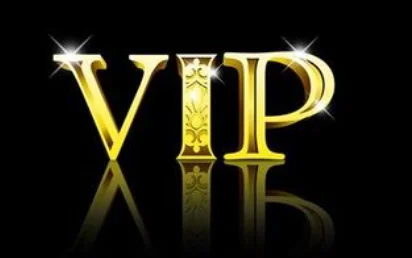 VIP/additional price difference/additional shipping fee