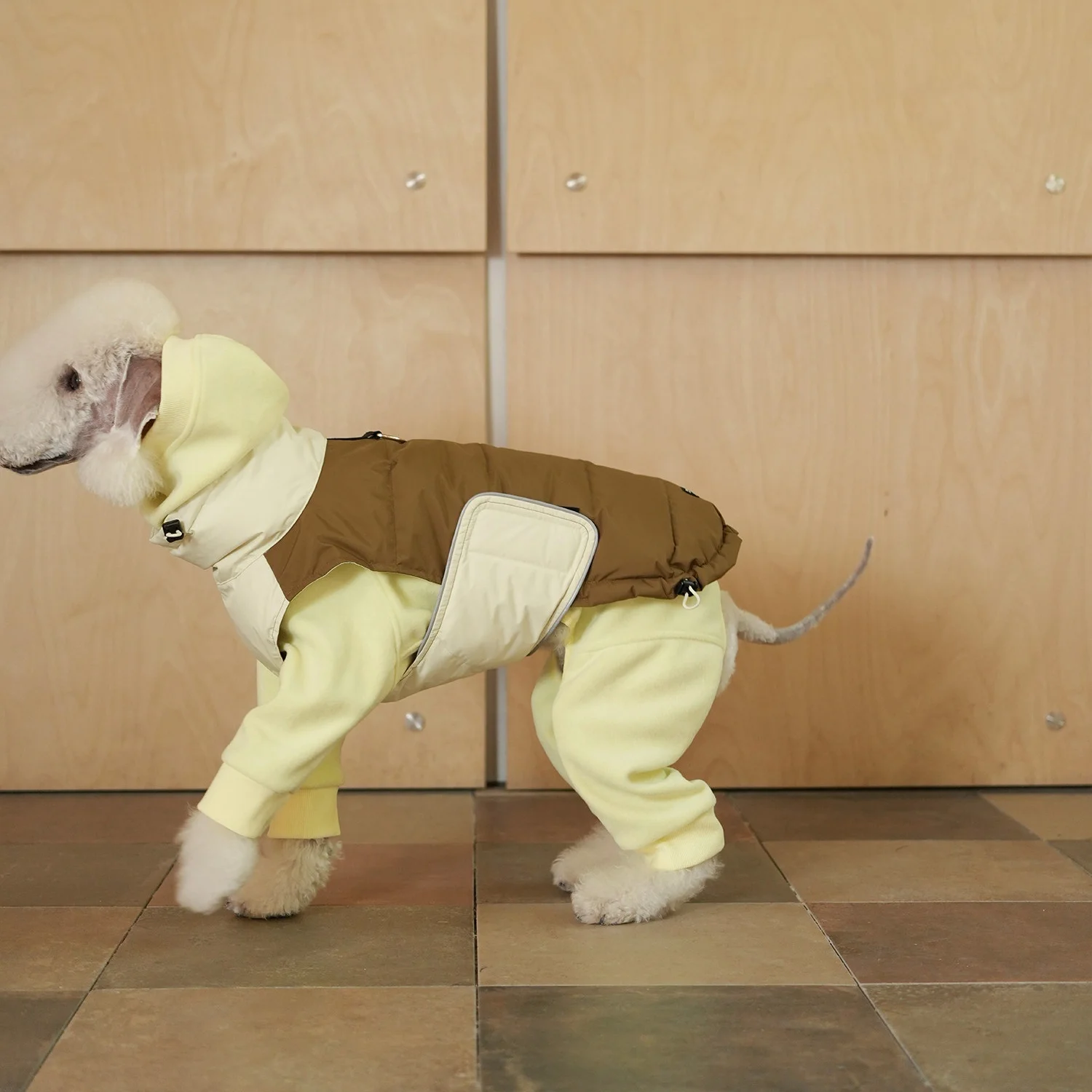 Winter Warm Blue Quickly Take Off Down Coat for Italian Greyhound Waterproof Jacket for Bedlington in Autumn Thick Vest for Dog