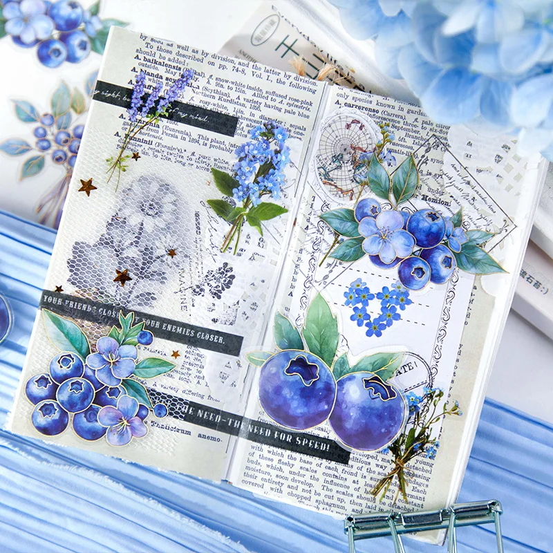 عبوة ملصقات فواكه مكونة من 20 قطعة، أنماط التوت العصير والفواكه (التوت والأزرق والخوخ والعنب) لتزيين المجلات وسجل القصاصات #4