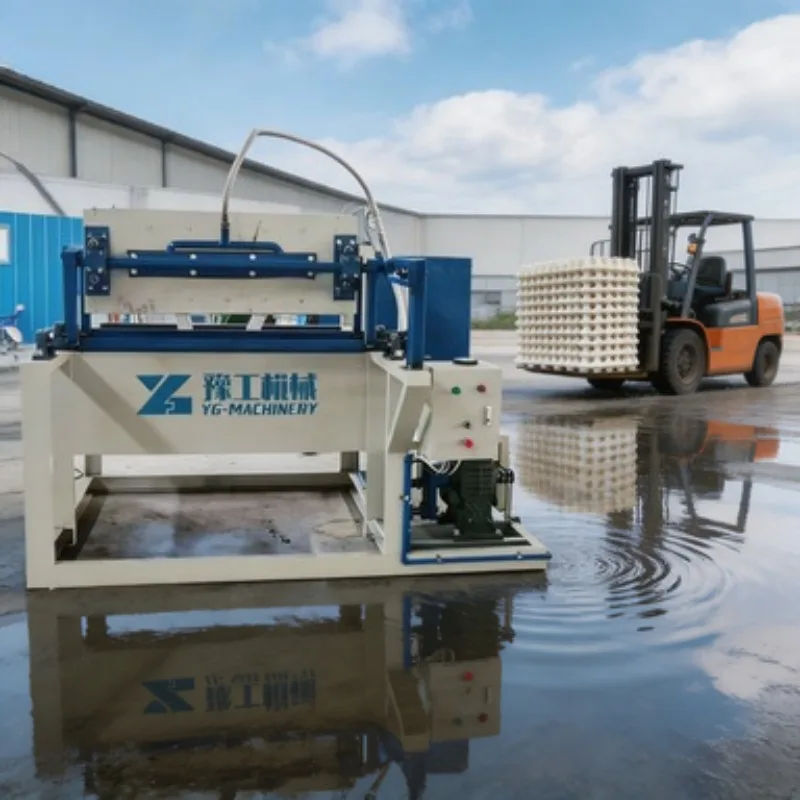 OEM Service Egg Tray Production Line Pulp Molding Equipment Waste Paper Recycling Machine 2000pcs/h for Commercial Use