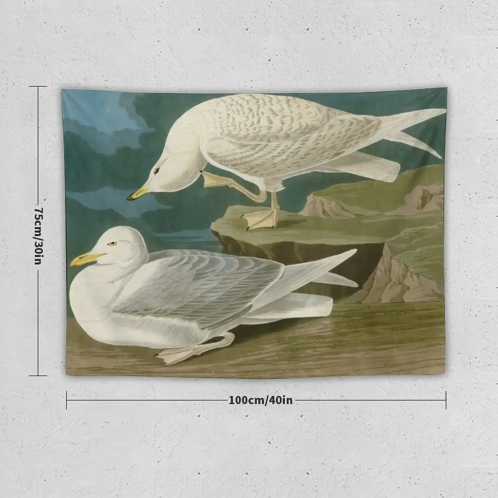 White-winged silvery Gull by John James Audubon Tapestry Home Decorating Wall Mural Mushroom Wall Decoration Items Tapestry