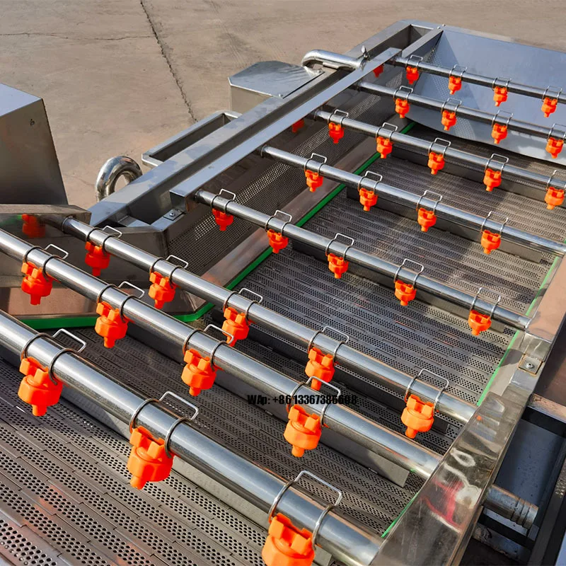 معدات تنظيف الفواكه والخضروات، معدات تنظيف الفقاعات التجارية، معدات تنظيف البصل #1