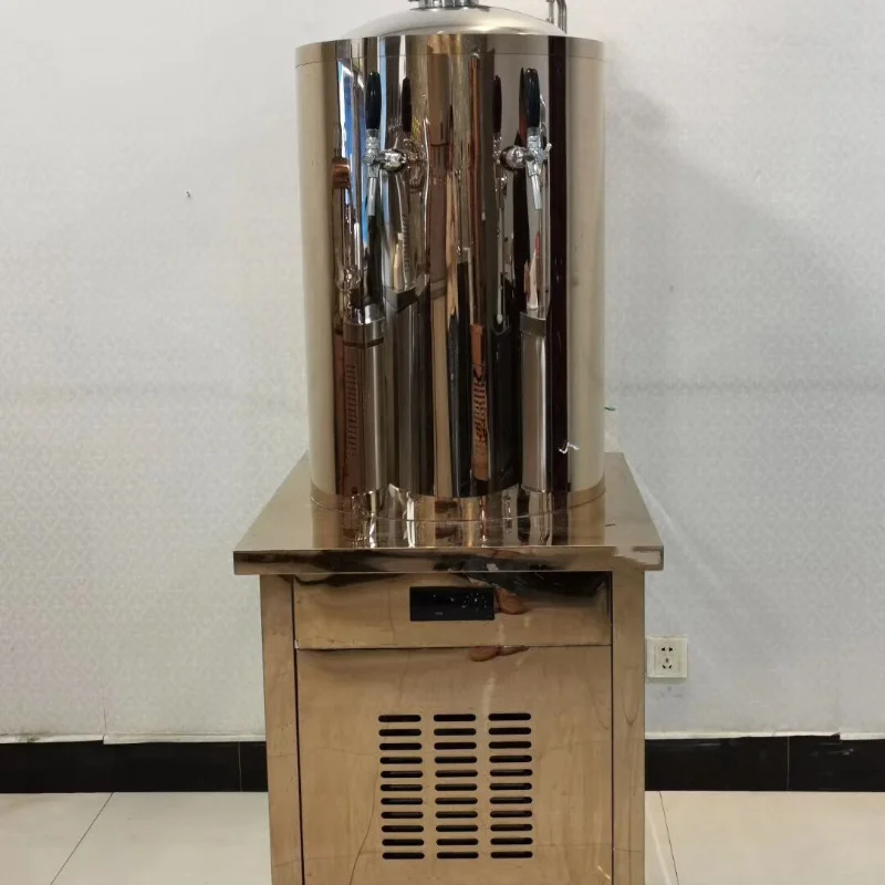 Craft Beer Storage Tank Beer Preservation Machine 60L 100L/150L/200L Craft Beer Vending Machine