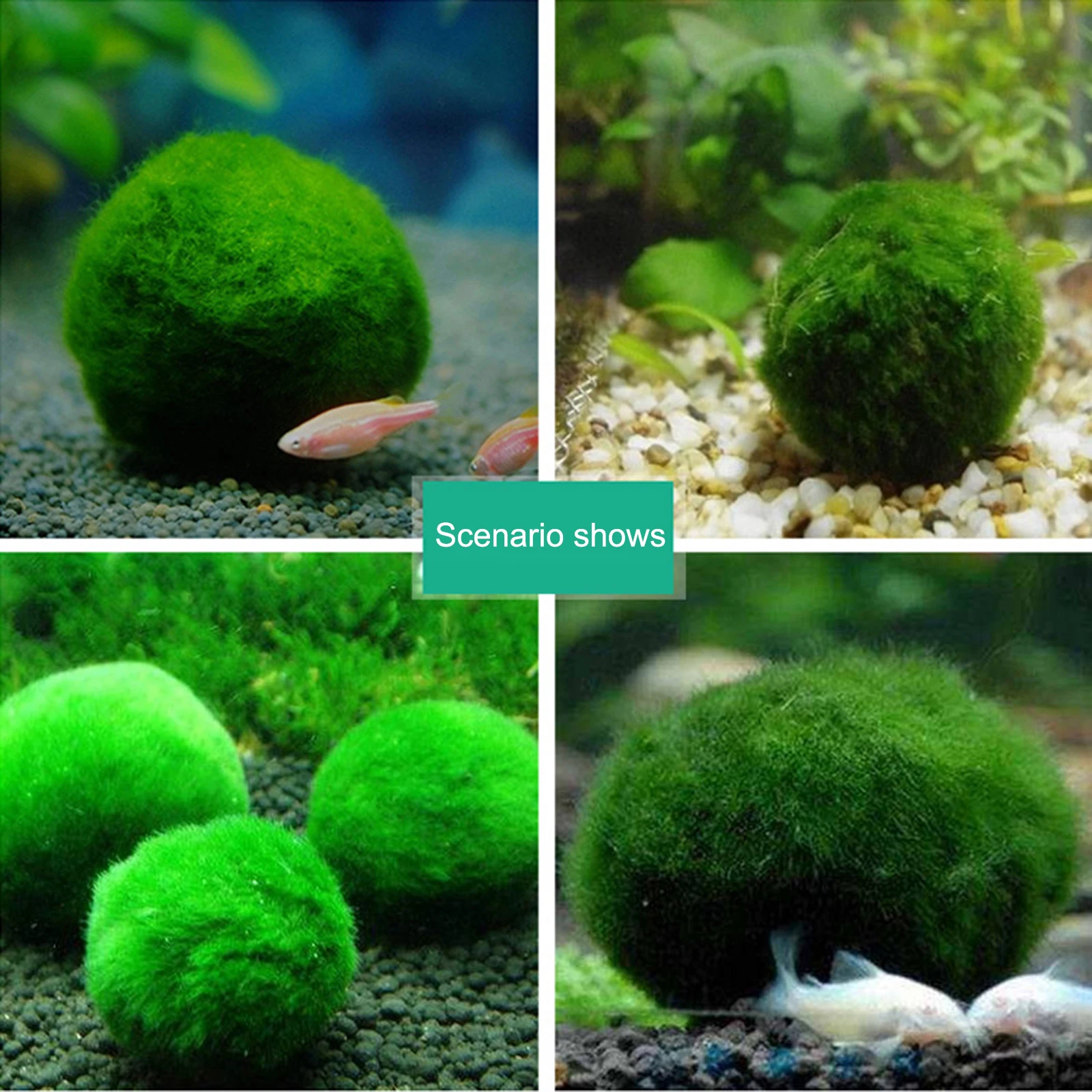 5cm Natural Green Alga Ball for Aquarium Landscaping Decoration