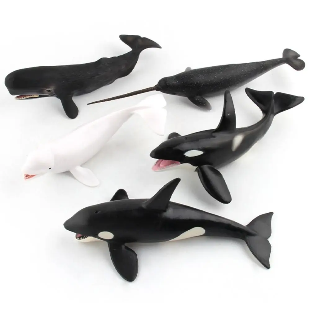 

Creative Simulation Marine Animal Model Sperm Whale Ocean Animals Whale Figurines Solid PVC Educational Sea Life Figure Kids Toy