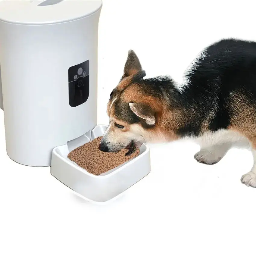 Wholesale APP controls LED displays of automatic pet cat and dog feeders can be OEM