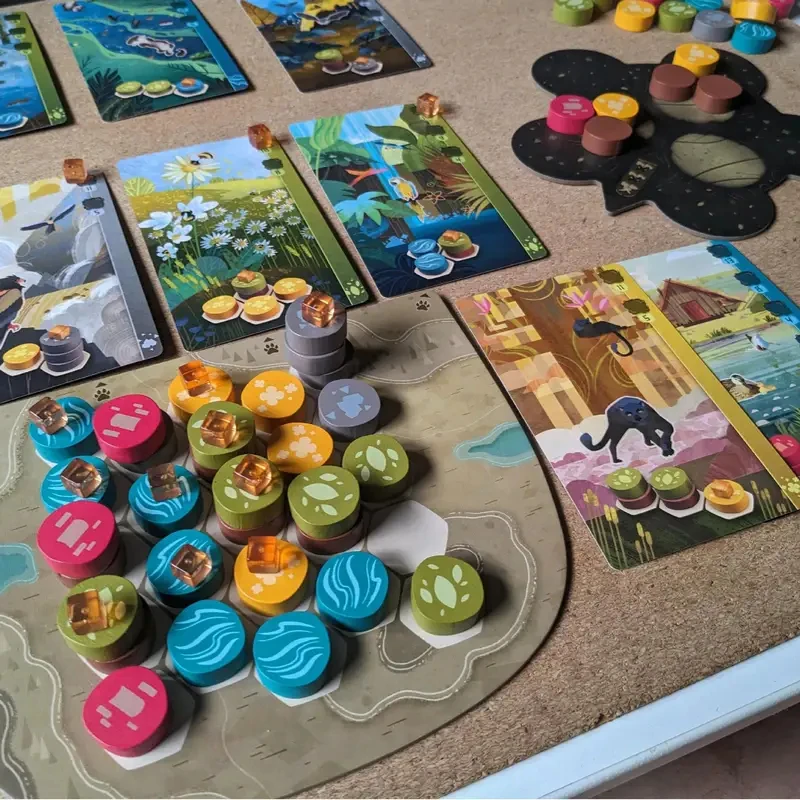 Creation of Landscapes and Hab - đánh giá và giá Board Game Harmonies