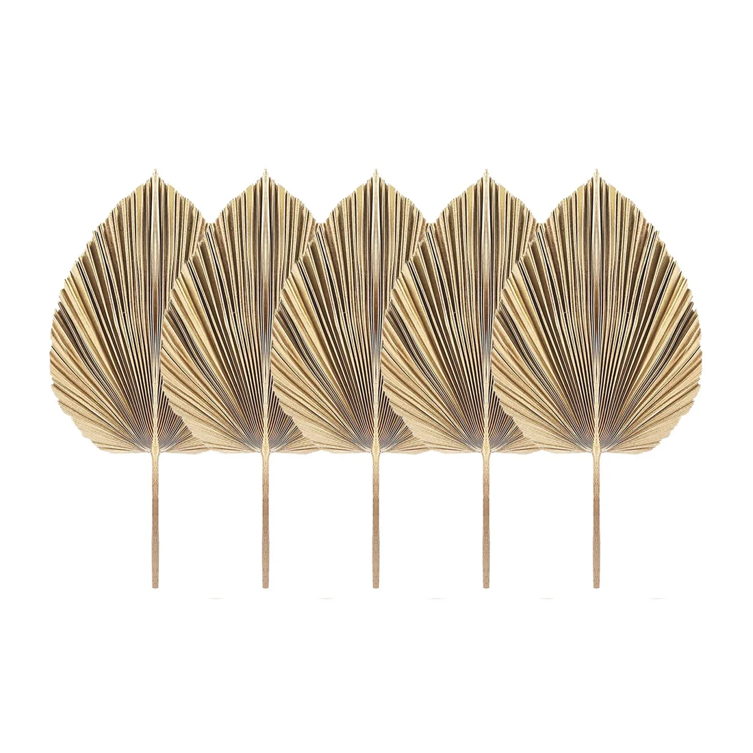 5Pcs Natural Dried Palm Leaves Tropical Dried Palm Fans Boho Dry Leaves Decor for Home Kitchen Wedding