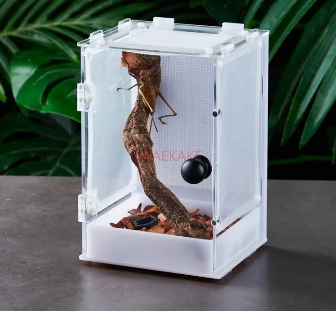 High end ecological breeding box for chirping insects, landscaping villa, chirping insect box, jumping spider, grasshopper, pray