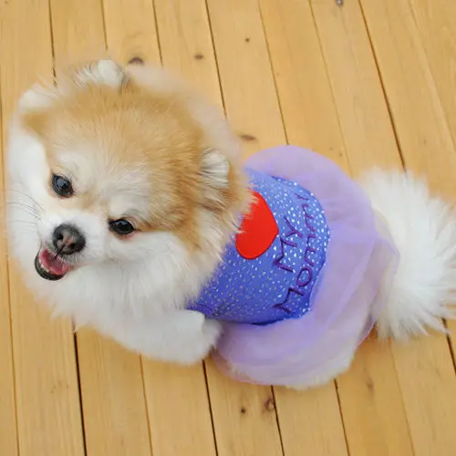 Hot Sale Summer Pet Dress Classic Embroidered Breathable Dog Clothes for Schnauzer Teddy Matching Owner Pet Outfit