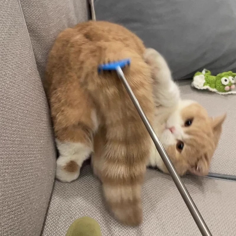 Interactive Toy Exb…