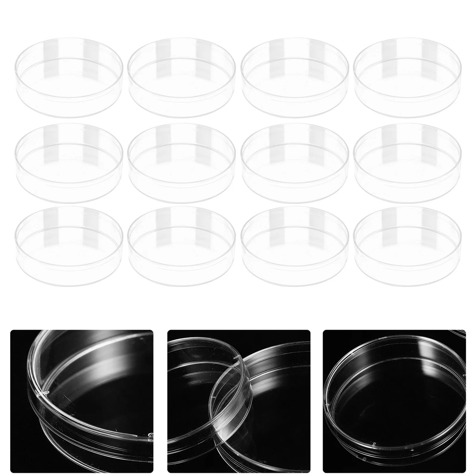 

30Pcs Clear Petri Dishes Plastic with Lids Laboratory Agar Plates for Science Experiment Research Petri Dish Agar Plates