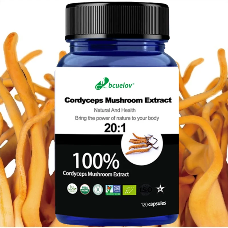 Cordyceps Mushroom Extract Capsules, Herbal Supplement for Brain Energy Immune Respiratory & Cardiovascular Wellness Vegan