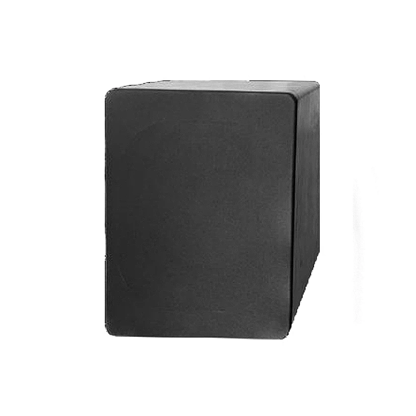 Berase 12 inch woofer speaker active speaker