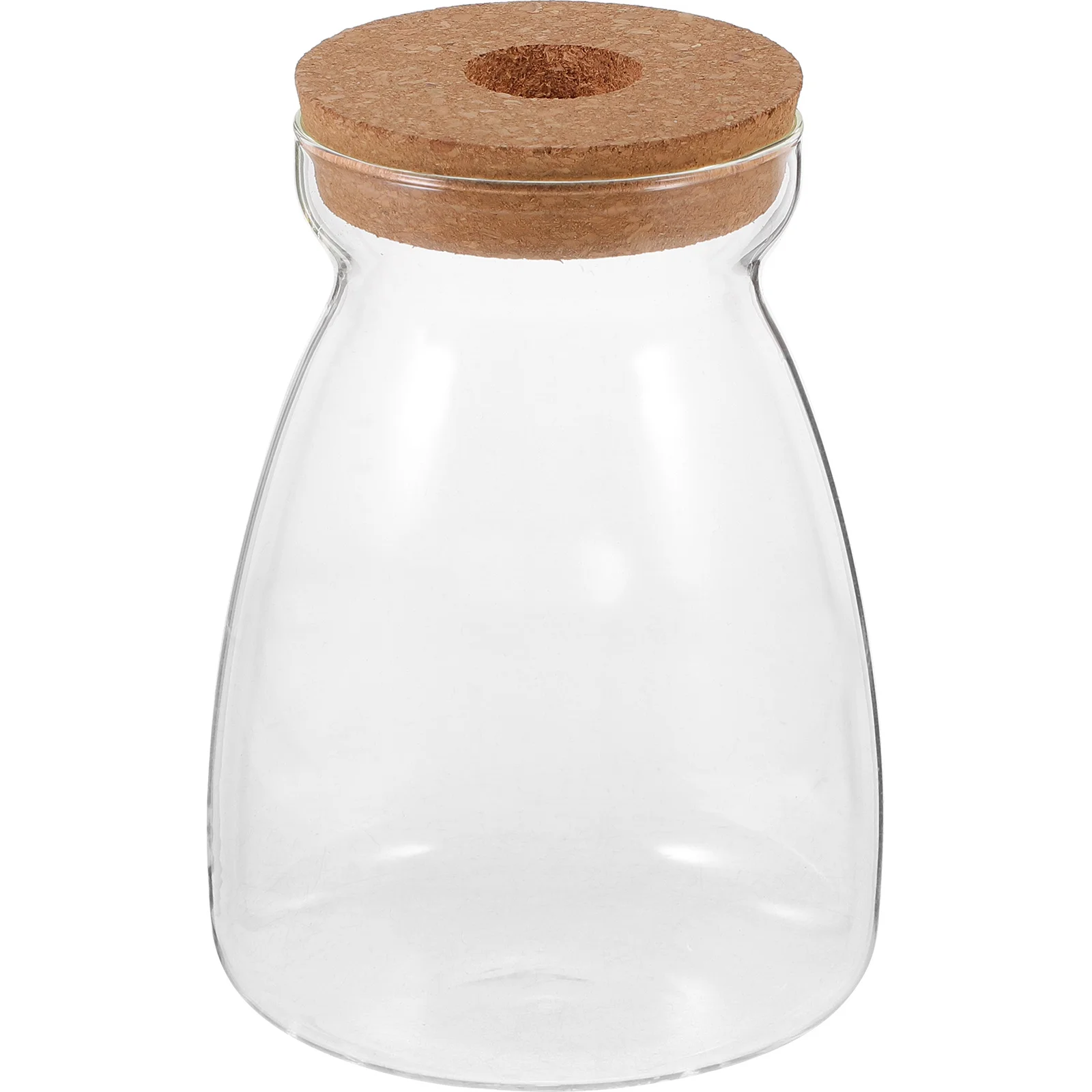 

Transparent Glass Succulent Vase Flower Hydroponic Vase Home Decor Smooth Surface Long Service Life Creative Shape Design