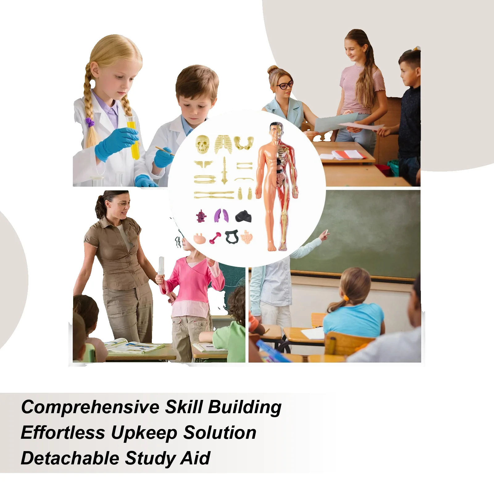 

Анатомическая модель человека для детей, 3D анатомическая модель туловища человека, анатомическая сборка, развивающие игрушки для учащихся, домашнее обучение