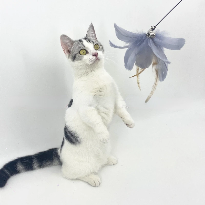 

Pet Cat Toy Stick Interactive Funny Simulation Feather With Mini Bell For Kitten Playing Teaser Wand Cats Supplies Pet Products