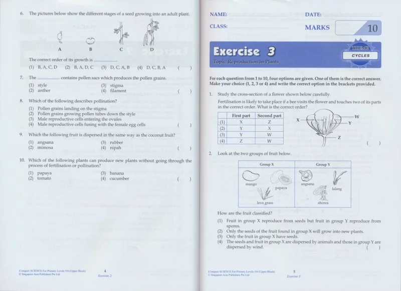 Escola Primária de Ciências de Cingapura, Graus 1-6, Graus 1-6, Aprendizagem e conquista, Assunto, Livro de exercícios, Série Conhecimento