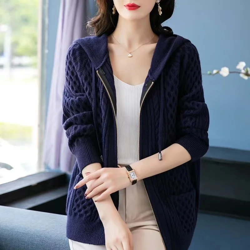 Autumn Winter Cardigan Sweater Women Jacket New 2024 Fashion Loose Hooded Casual Zipper Knitted Sweater Female Outerwear Tops