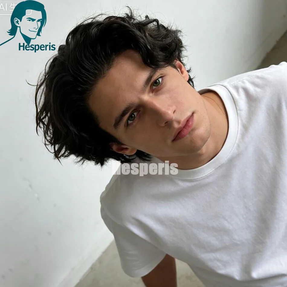 ヘスペリス メンズ 人毛ウィッグ プレスタイル 透明レースフロント 人毛システム 男性用ウィッグ ヘアピース