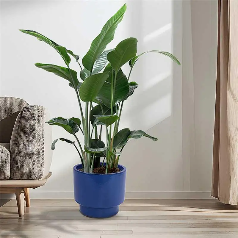 3 PCS Ceramic Flower Pots, Modern Planter for Patio, Garden, or Windowsills - Antique Blue Green Finish