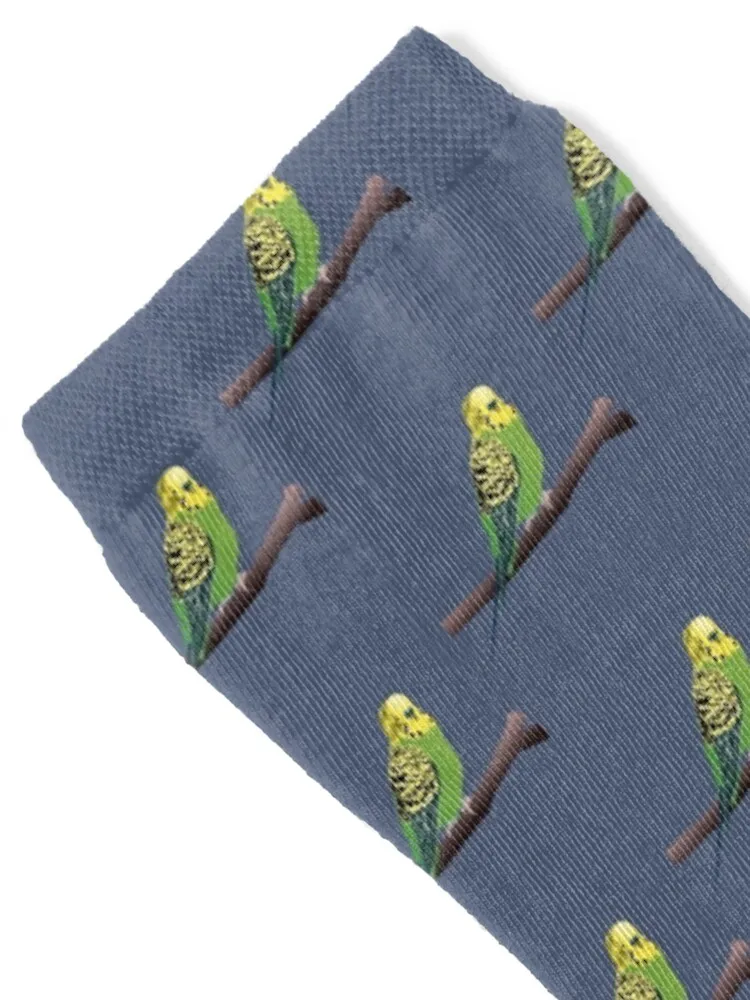 Green Parakeet/Budgie Socks christmas gifts funny sock moving stockings anime Socks For Men Women's