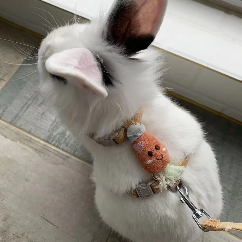 Rabbit Leash Outdoor Walking with Kitty Rabbit Cute Carrot Shape Harness Prevent Escape Adjustable Traction Rope Pet Accessories