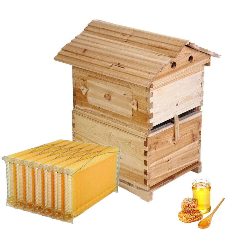 Beekeeping Equipment Factory Price Honey Flowing Bee Hive New Automatic Bee Hive with 7 Pcs Auto Flow Beehive Frames