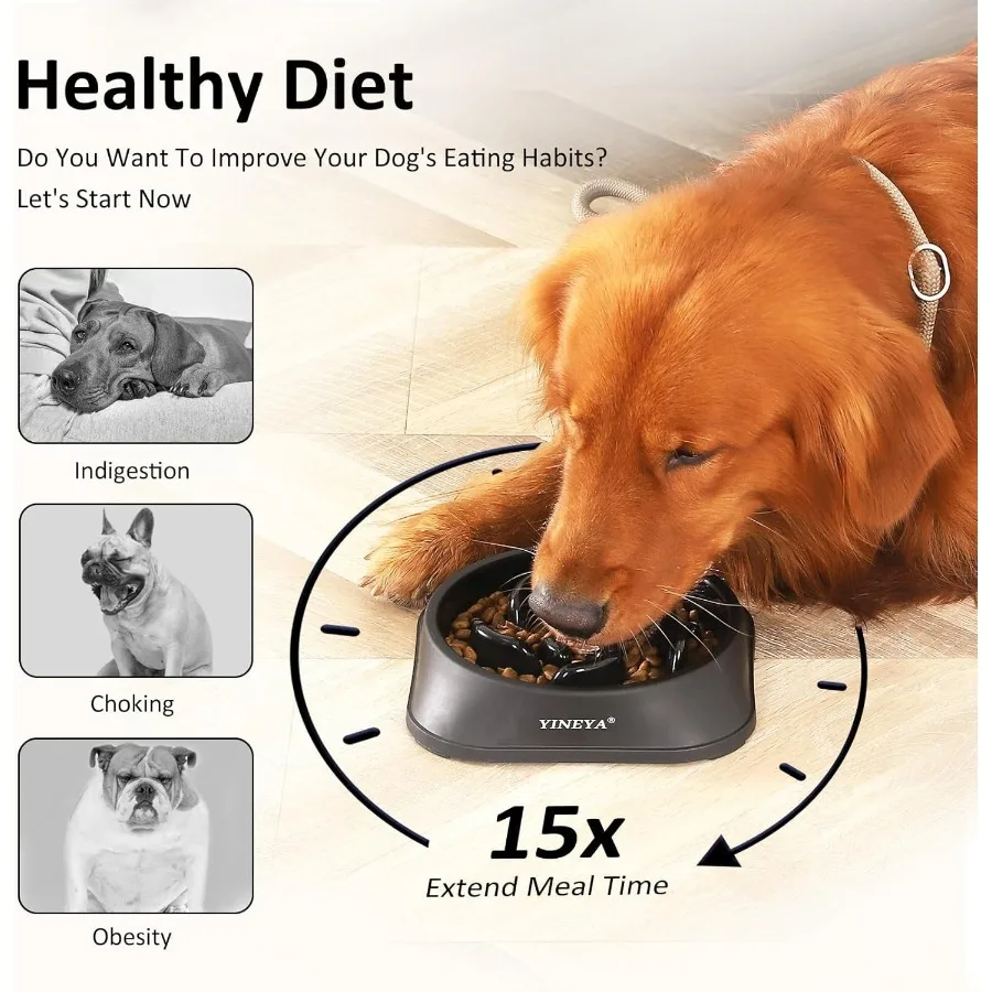 تغذية بطيئة للكلاب Bs مستلزمات الحيوانات الأليفة التي تبطئ تناول الطعام أغذية الحيوانات الأليفة Bs كلب المتاهة للسلالات المتوسطة