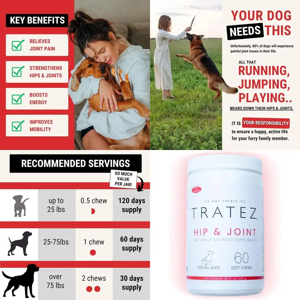 

Премиум-добавка для поддержки суставов собак - 60 мягких жевательных таблеток с глюкозамином, хондроитином, МСМ и зеленой мидией для улучшения подвижности суставов