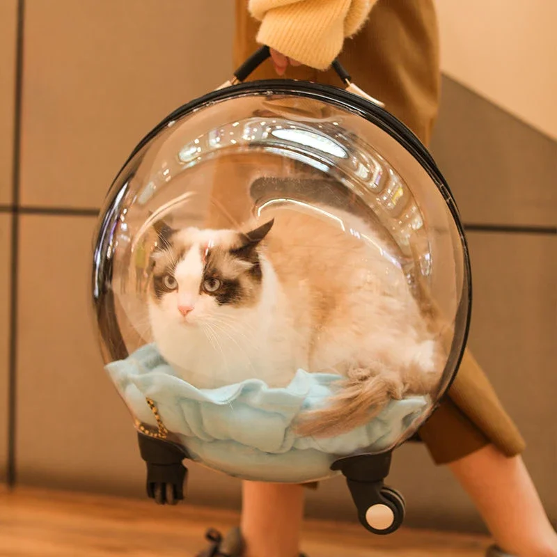 Pet Cat Carriers Cat Bag Outdoor Portable Trolley Case Space Capsule Cats Backpack Diaper Bag Large Capacity Transparent