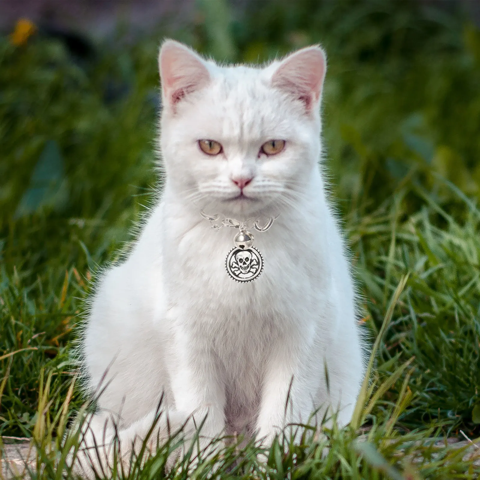 

2Pcs Skull Design Halloween Pet Collar Adjustable Dog Cat Neck Ring Durable Creative Halloween Party Supplies Dog Collar