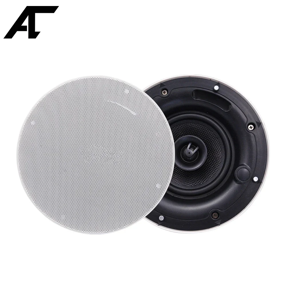 Strong Hi-Fi Ceiling Speaker 5\