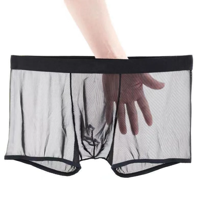 Hot Men's Thin Transparent Underwear Mid Waist Mesh Sexy Bottom Pants Youth Almost Naked See Through Cueca Boxer Masculino 남자 팬티