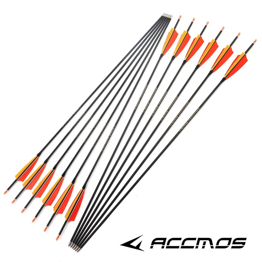 12pcs Pure Carbon Arrow ID 4.2mm Spine 250 300 400 500 600 700 800 900 1000 1500 Arrow Shaft 31in for Archery Hunting Shooting