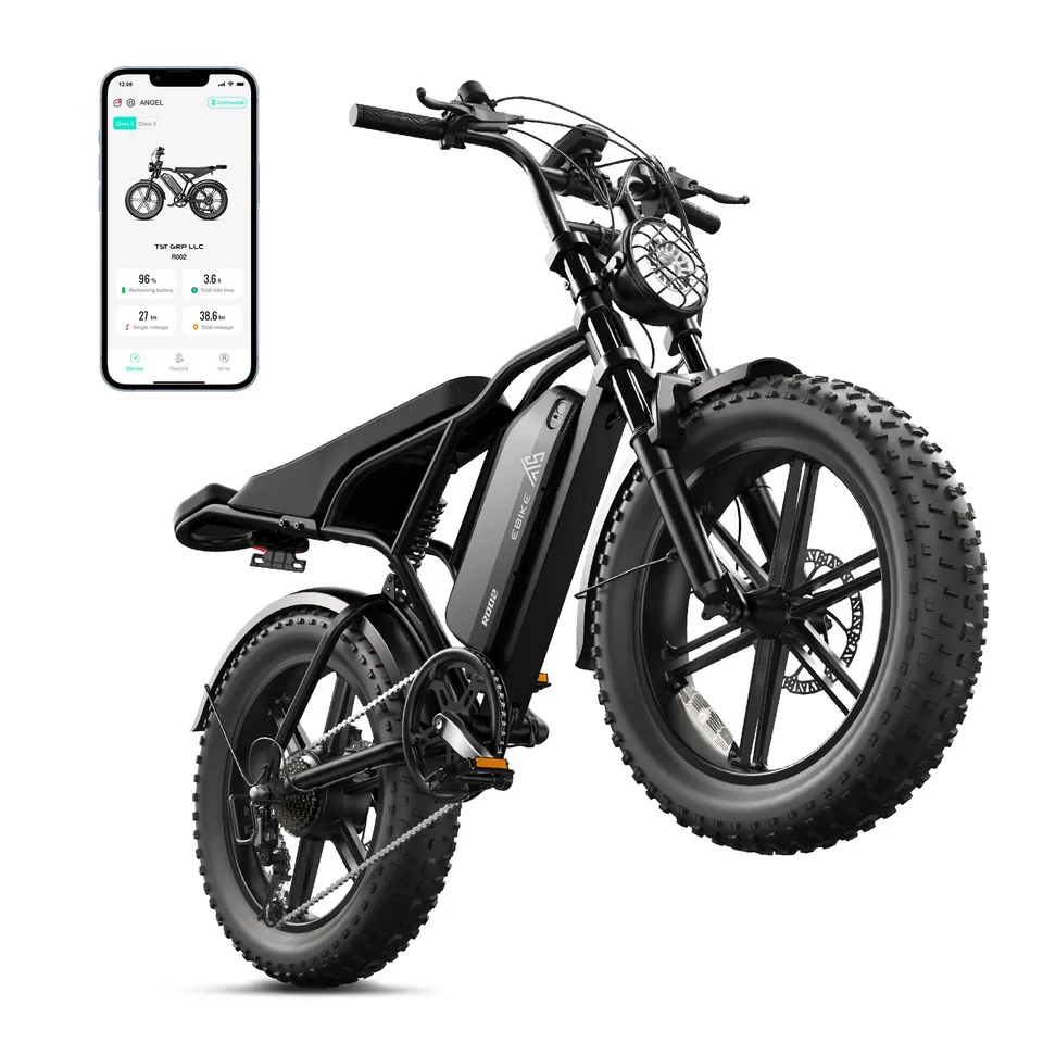 20" FAT TIRE ELECTRIC BIKE FOR ADULTS 1500W PEAK 48V/15AH MOUNTAIN E-BIKE