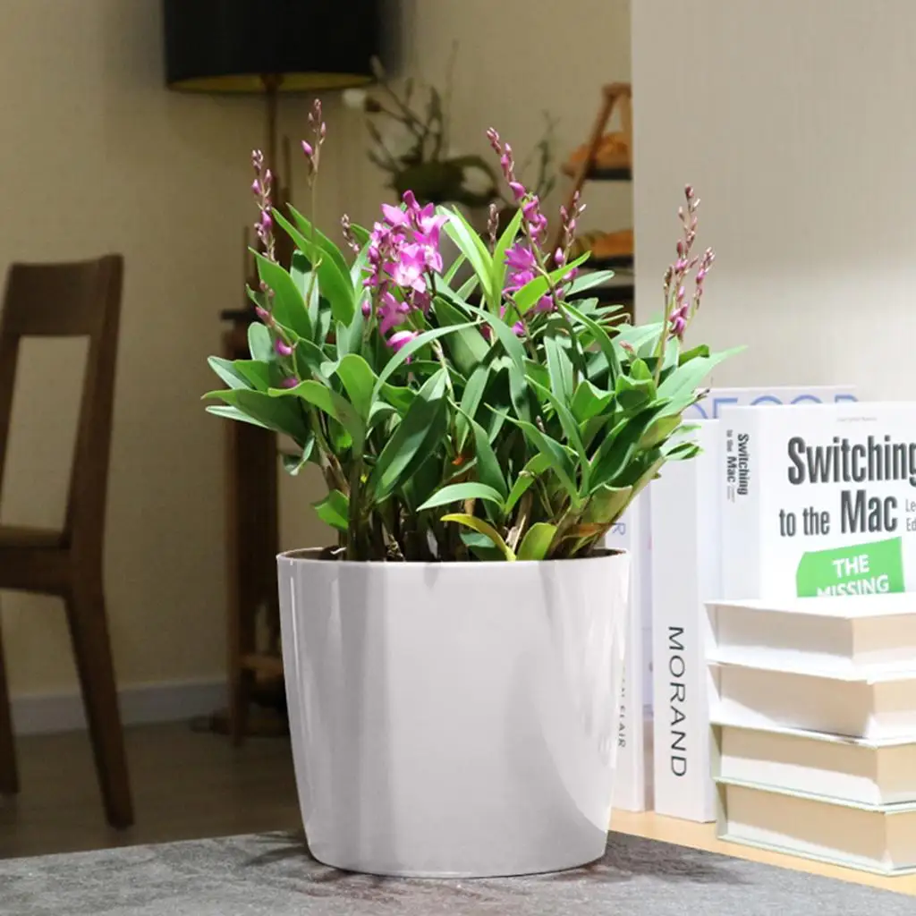 Plastic Self Watering Pots with Auto Watering Water Level Window Hydroponic Planter for Balcony Orchids and Greenery